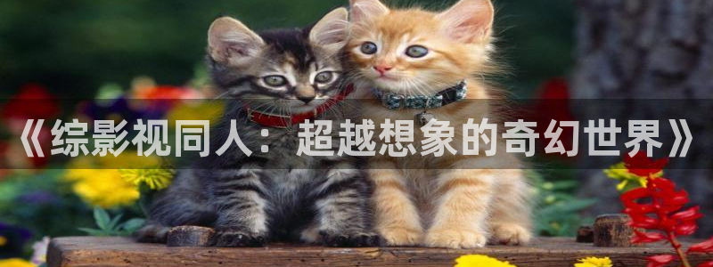 南瓜影院伦理片：《综影视同人：超越想象的奇幻世界》