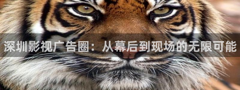 南瓜电影网全网搜