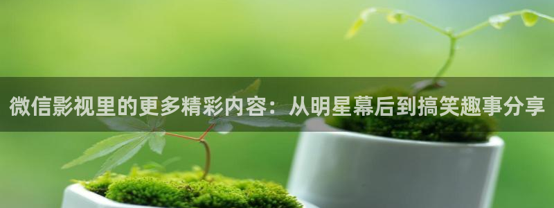 南瓜电影推荐